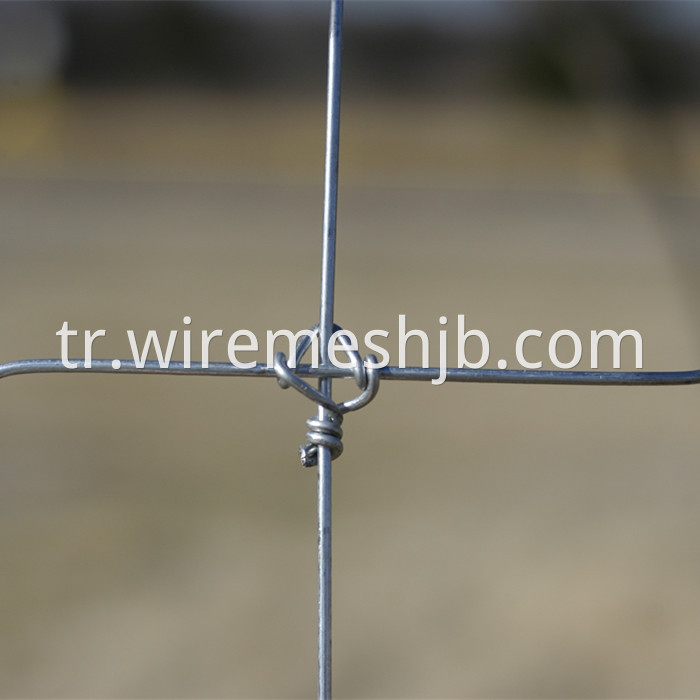 Fixed Knot Kraal Network